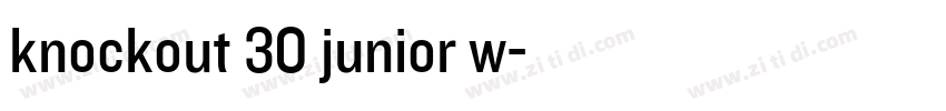 knockout 30 junior w字体转换